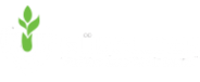 client 3